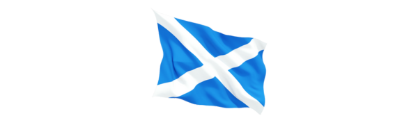 [Image: zxczxc.png]